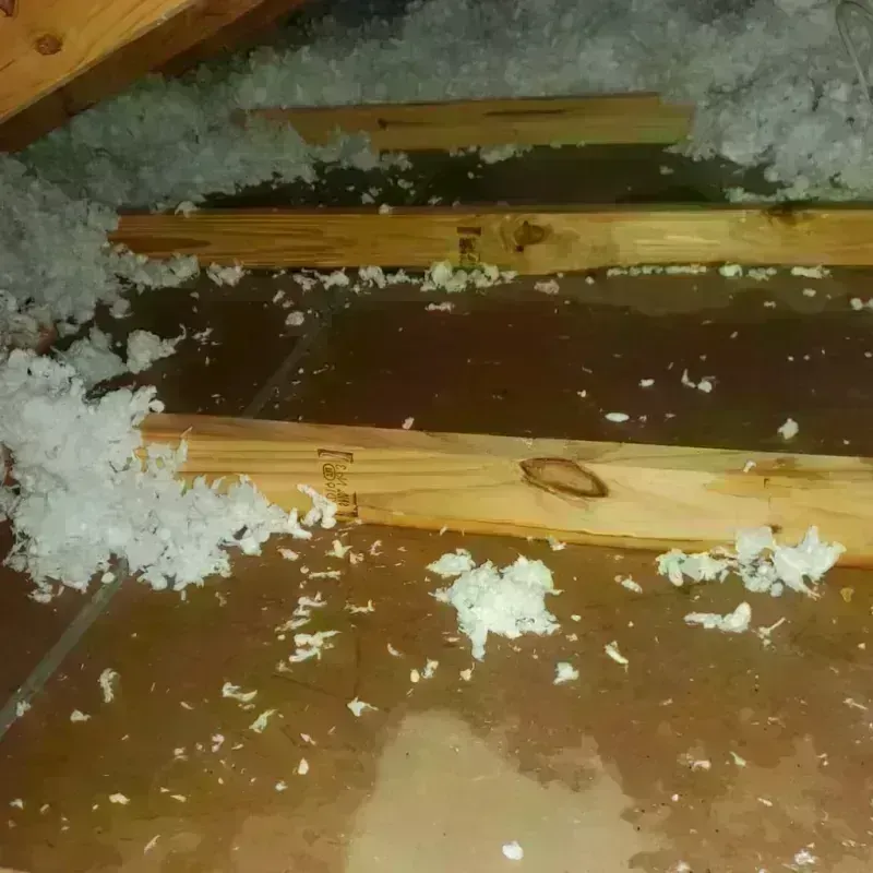 Attic Water Damage in Gustine, CA