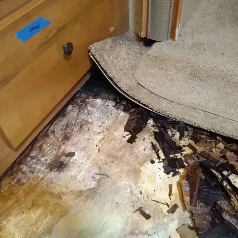 Wood Floor Water Damage in Gustine, CA